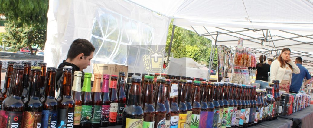 💰 Mucho más que cerveza